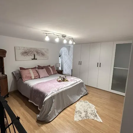 Duplex próximo a Plaza de la Alameda-2
