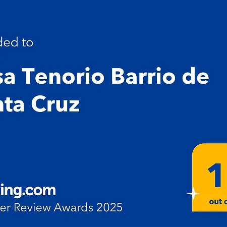 Suite Dona Ines Barrio Santacruz-3