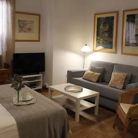 Apartamentos RG calle Santiago 46-2
