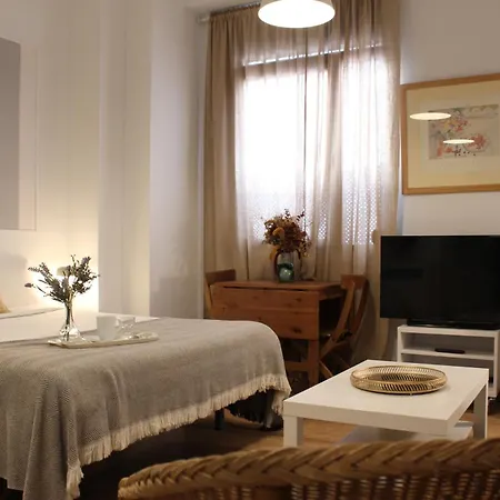 Apartamentos RG calle Santiago 46-2