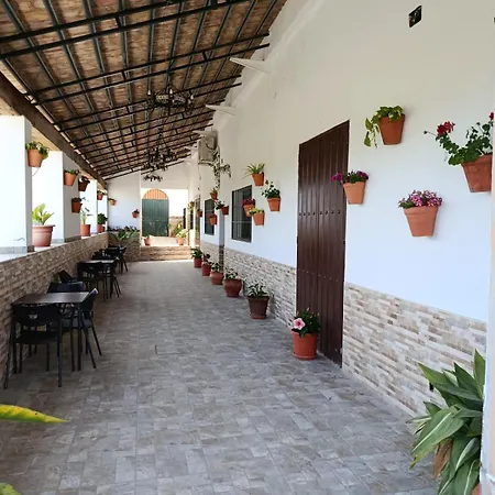 Casa Cortijo Olivar-3