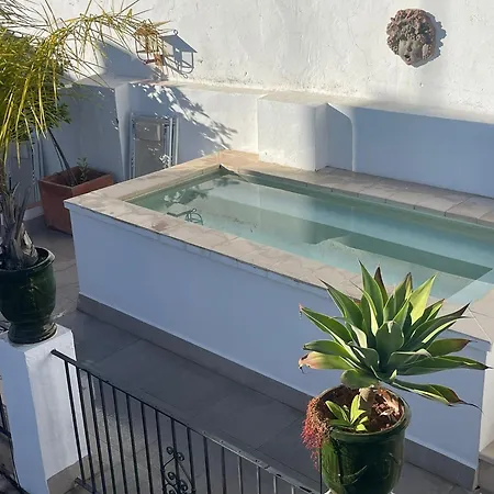 Vac Luxury Home Sevilla-3