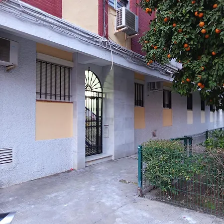 Apartamento Triana Maestro Guerrero-3