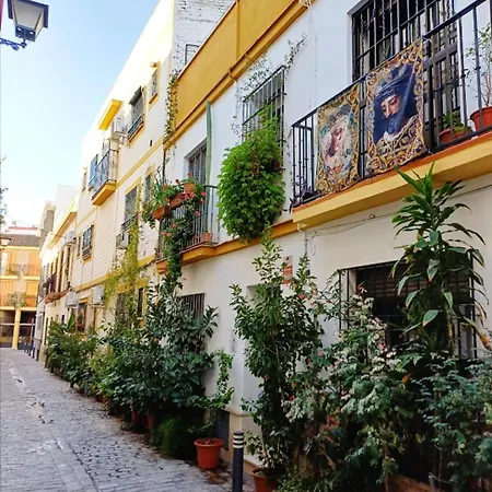 Apartamento Macarena, Centro de Sevilla - cerca Cartuja e Isla Mágica - con aire acondicionado-3