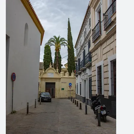 Apartamento Sevilla Historico Centro Lanza-3