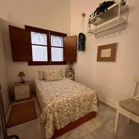 Duplex céntrico San Isidoro-2