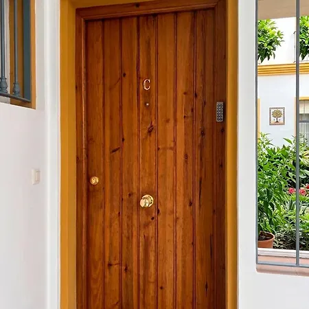 Rentalsevilla San Clemente-3