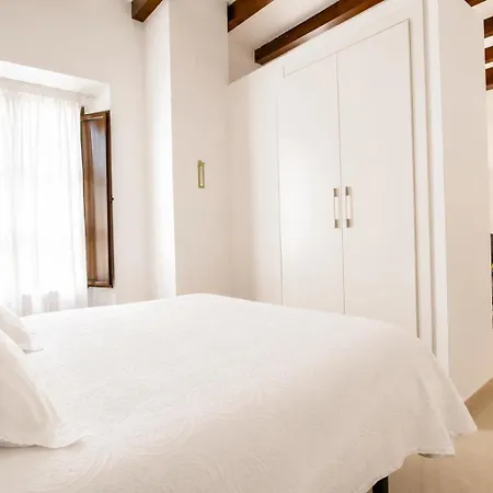 Apartamentos Plaza Nueva-2