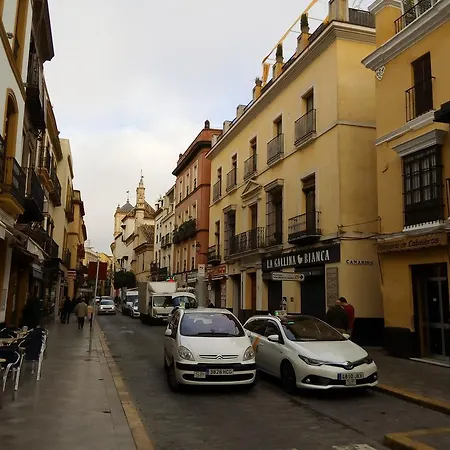 Apartamento San Clemente-3