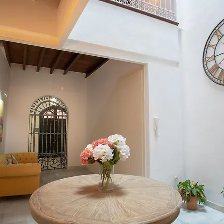 Casas De Sevilla - Casa Sevillana Harinas26-3