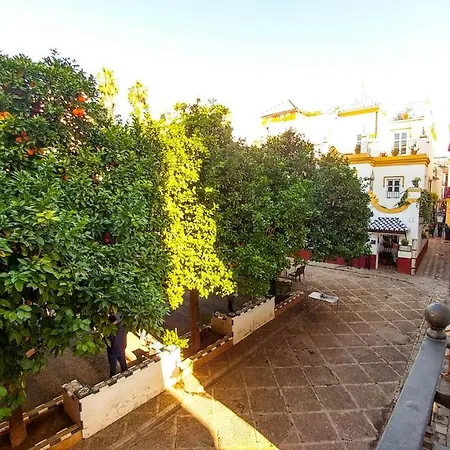 Apartamento Plaza de Doña Elvira 8-2
