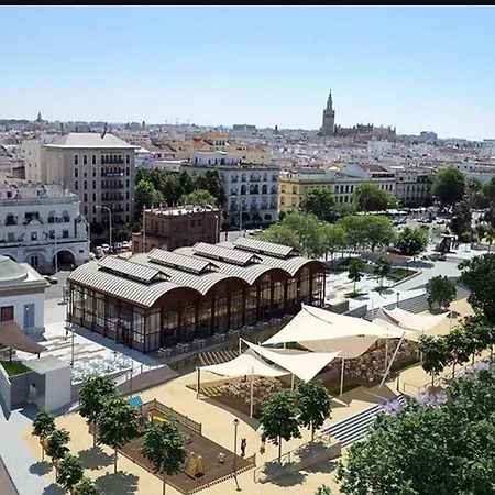 Sweet Triana-3