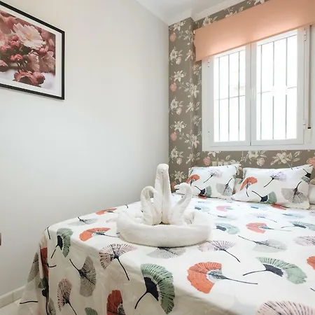 Apartamento Centro Gran Poder-2