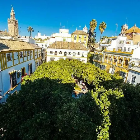 Plaza Elvira Atico- Penthouse Next To Cathedral-2
