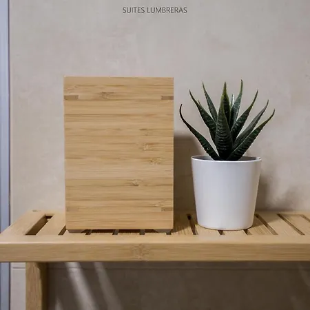 Suites Lumbreras-2