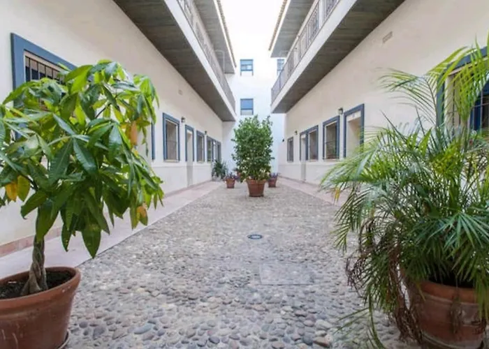 Triana 143 - WIFI