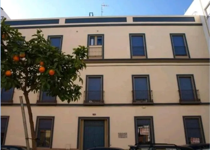 Triana 143 - WIFI