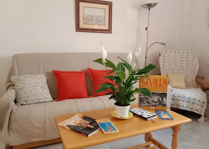 Wish Suite Setas De
