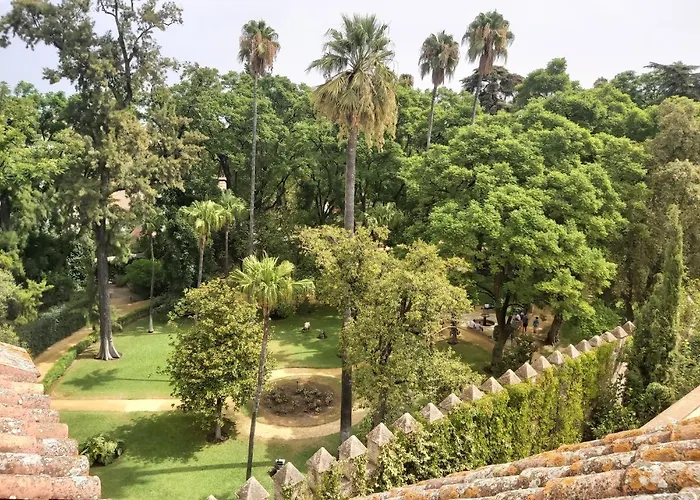 La Casa de San Fernando con vistas a los Reales Alcázares