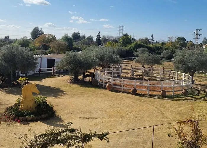 Exclusiva (10.000m2) Para 10-17 Personas