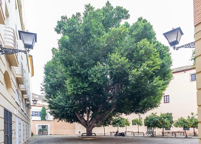 Alohamundi Escuelas Pías
