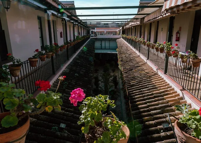 Con Encanto En Patio Sevillano (203)