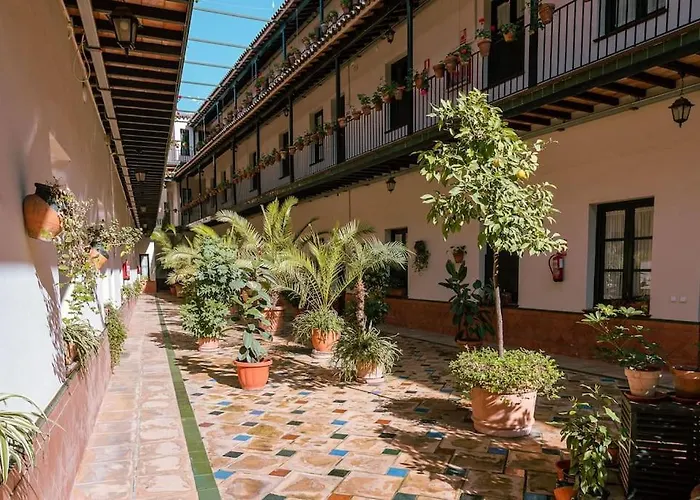 Apartamento con encanto en patio sevillano (202)