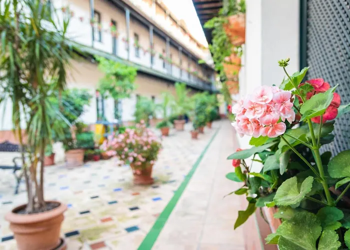 Hoteles Del Sur Sevilha, Espanha