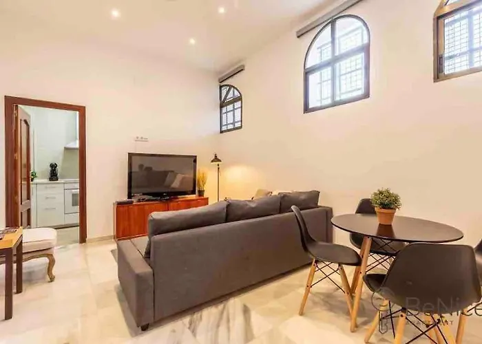 Luxury apartamento Sevilla centro -triana