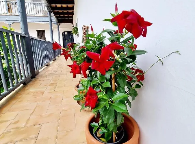 Apartamento con Patio Sevillano, Spagna