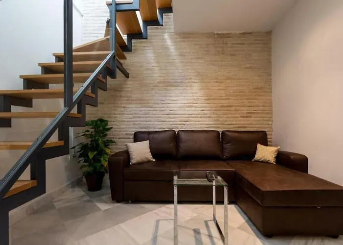 Viriato Terraza Olehousing