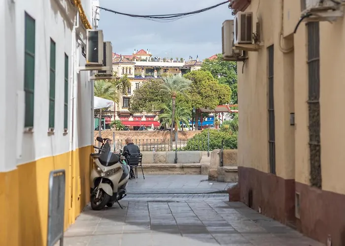Flipanddo Triana
