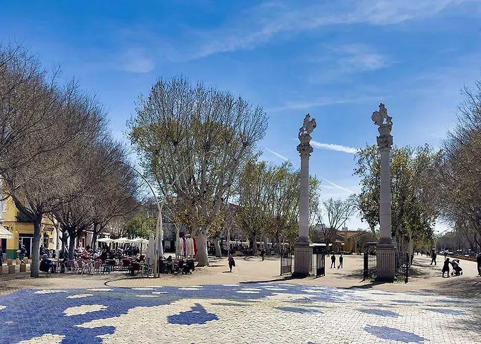 Con Terraza Privada En La Alameda