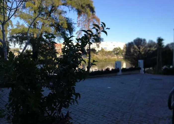 Disfruta Sevilla Desde Triana Junto Al Río