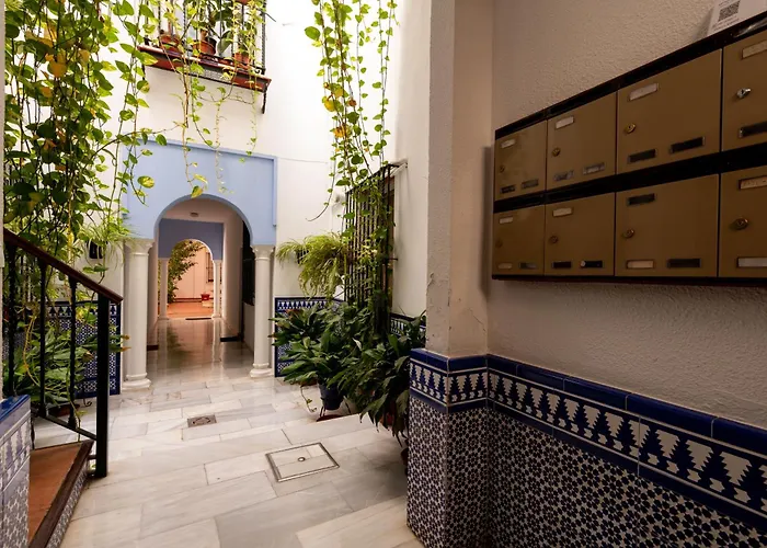 RC Centro Histórico CatedralJudería