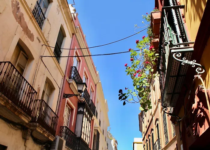 Wish Suite Plaza Nueva