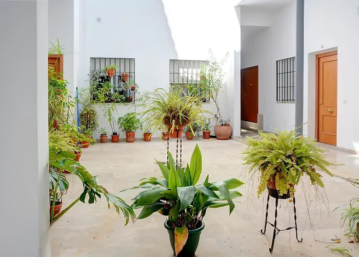 Estudio Plaza De La Encarnacion