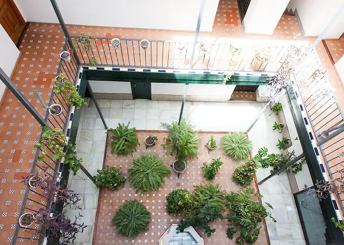 Gotoseville Sierpes Suite