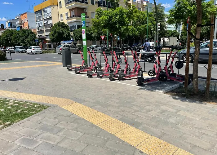 Los Naranjos De Zambra