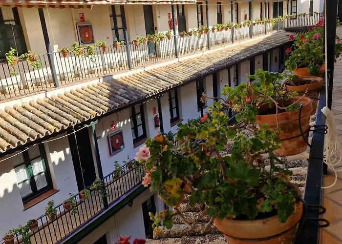 Patio Cartuja