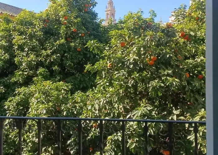 Apartamentos En La Plaza Dona Elvira, 7