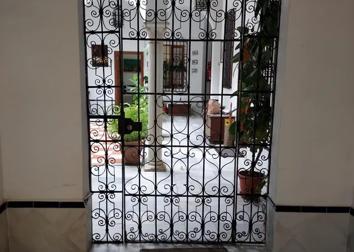 Patio Sevillano Flores, Spagna