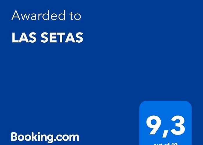 Setas