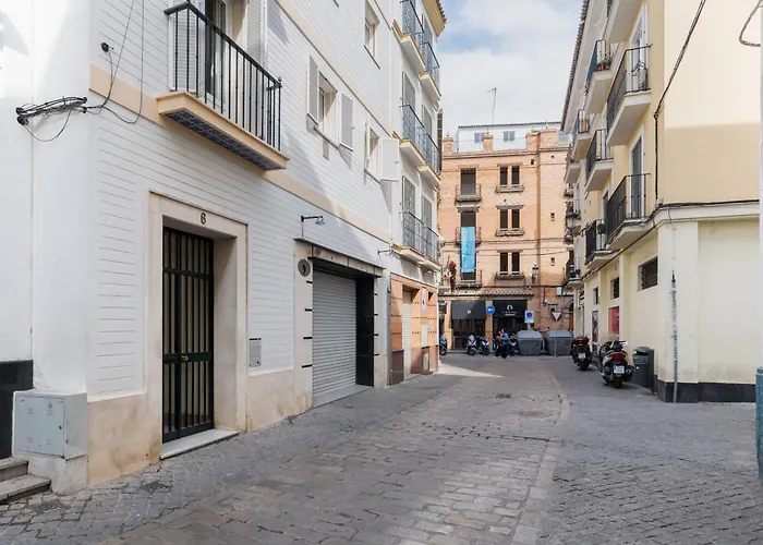 Mara Arenal Sevilla