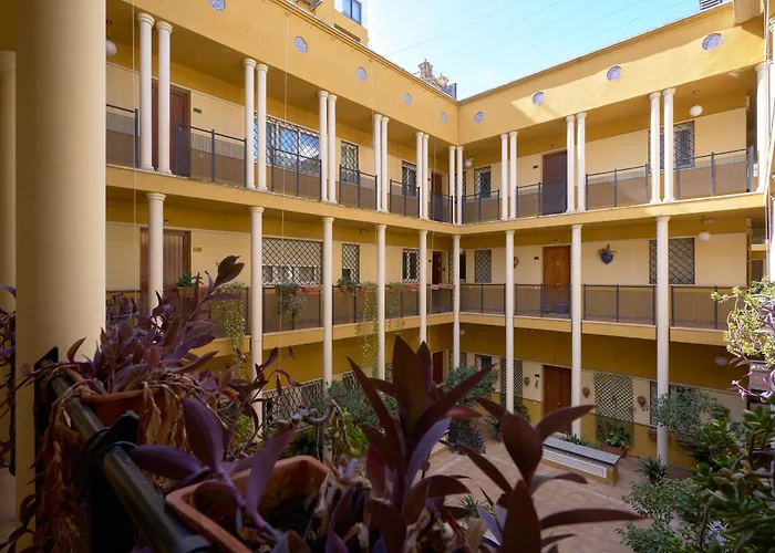 San Vicente 43, By Homing U