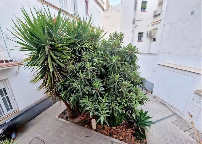 Loft luz del Duque