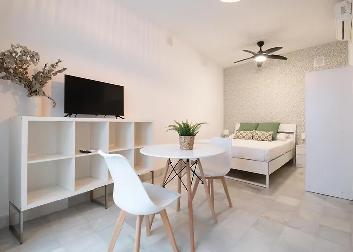 Apartamentos Alameda de Hércules