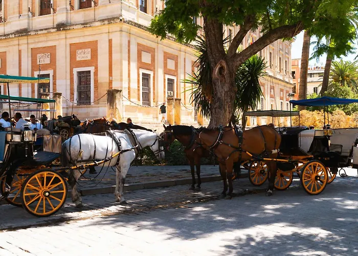 Limehome Sevilla Calle Pureza