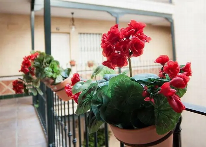 Hsh Suites Corrala Triana