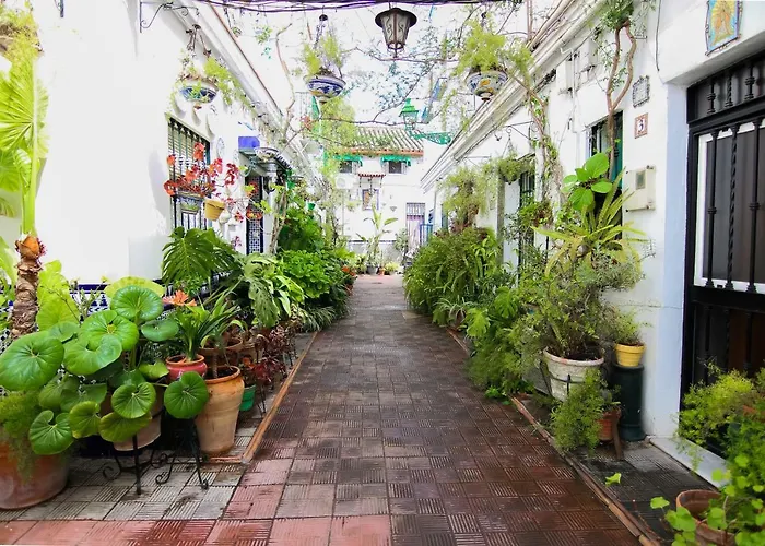 Misterhost Triana Patio de las Flores